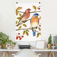 Klebefieber Poster Tiere Vögel und Beeren - Hüttensänger