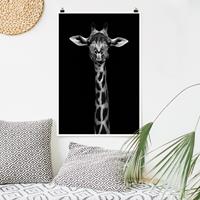 Klebefieber Poster Tiere Dunkles Giraffen Portrait