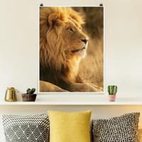 Klebefieber Poster Tiere Löwenkönig