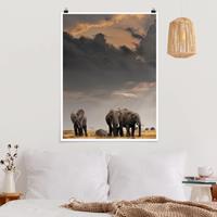 Klebefieber Poster Tiere Elefanten der Savanne