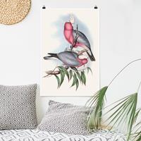 Klebefieber Poster Tiere Pastell Papageien II