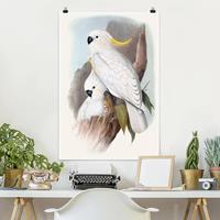 Klebefieber Poster Tiere Pastell Papageien III