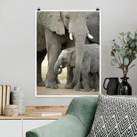 Klebefieber Poster Tiere Elefantenliebe