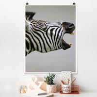 Klebefieber Poster Tiere Brüllendes Zebra
