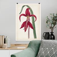 Klebefieber Poster Blumen Gartenschönheit I