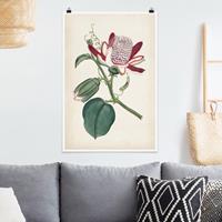 Klebefieber Poster Blumen Gartenschönheit IV