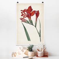 Klebefieber Poster Blumen Gartenschönheit VI