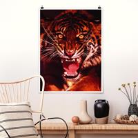Klebefieber Poster Tiere Wilder Tiger