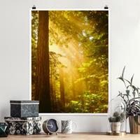 Klebefieber Poster Wald Morgengold