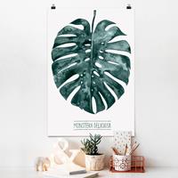 Klebefieber Poster Blumen Smaragdgrüne Monstera Deliciosa