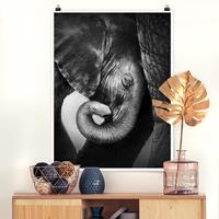 Klebefieber Poster Tiere Mutterliebe