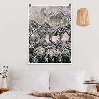 Klebefieber Poster Tiere Zebraherde