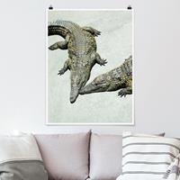 Klebefieber Poster Tiere Crocodile Romance