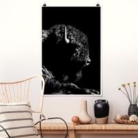 Klebefieber Poster Tiere Bison vor Schwarz