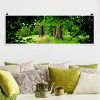 Klebefieber Panorama Poster Wald Verborgene Lichtung