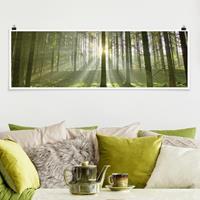 Klebefieber Panorama Poster Wald Spring Fairytale