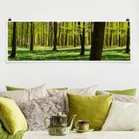 Klebefieber Panorama Poster Wald Waldwiese