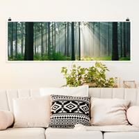 Klebefieber Panorama Poster Wald Enlightened Forest