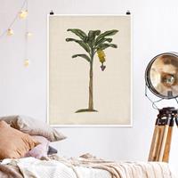 Klebefieber Poster Blumen Britische Palmen III