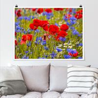 Klebefieber Poster Sommerwiese mit Mohn und Kornblumen