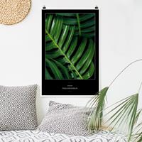 Klebefieber Poster Blumen Tropische Blätter Philodendron