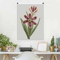 Klebefieber Poster Blumen Florale Schmuckstücke II