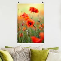 Klebefieber Poster Blumen Roter Sommermohn