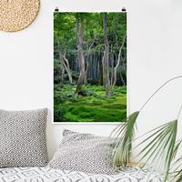 Klebefieber Poster Wald Japanischer Wald