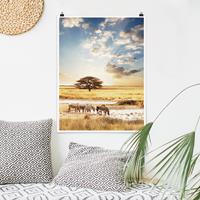 Klebefieber Poster Tiere Das Leben der Zebras