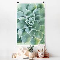 Klebefieber Poster Blumen Sukkulente Aquarell Dunkel