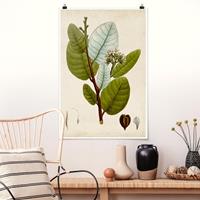 Klebefieber Poster Blumen Laubbaum Schautafel I