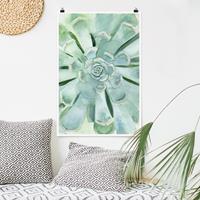 Klebefieber Poster Blumen Sukkulente Aquarell Hell