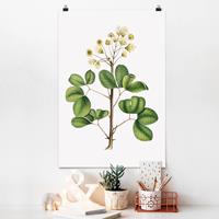 Klebefieber Poster Blumen Laubwerk mit Blüten IV