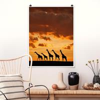 Klebefieber Poster Tiere Fünf Giraffen