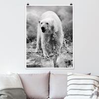 Klebefieber Poster Tiere King of the North II