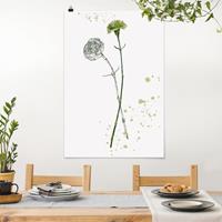 Klebefieber Poster Blumen Botanisches Aquarell - Nelke