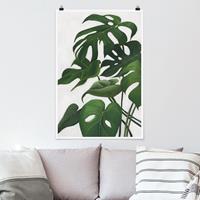 Klebefieber Poster Blumen Lieblingspflanzen - Monstera