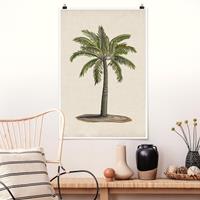 Klebefieber Poster Blumen Britische Palmen I