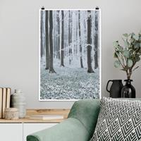 Klebefieber Poster Natur & Landschaft Buchen mit Rauhreif