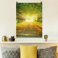 Klebefieber Poster Wald Autumn Avenue