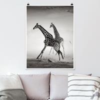 Klebefieber Poster Tiere Giraffenjagd