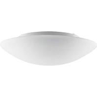 RZB 211071.002 - Ceiling-/wall luminaire 3x60W 211071.002