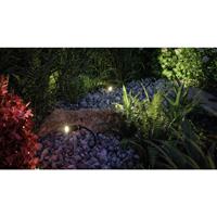 Paulmann Plantini 93997 Verlichtingssysteem Plug&Shine LED-tuinspot LED 2.5 W Antraciet