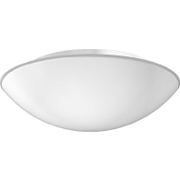 RZB 211344.002.3.19 - Ceiling-/wall luminaire 1x60W 211344.002.3.19