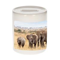 Bellatio Dieren olifant foto spaarpot 9 cm jongens en meisjes - Cadeau spaarpotten olifanten kudde liefhebber
