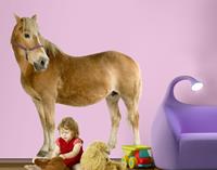 Klebefieber Wandtattoo Kinderzimmer No.308 Haflinger