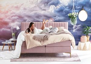 cinderella boxspring Desire