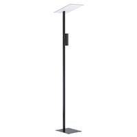 Eglo Strakke leeslamp Budensea 99113