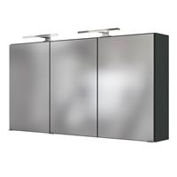 Spiegelschrank mit 2x LED-Beleuchtung FLORIDO-03 in graphit B x H x T 120 x 64 x 20 cm