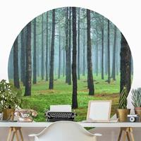 Klebefieber Runde Tapete selbstklebend Wald Tiefer Wald mit Kiefern auf La Palma